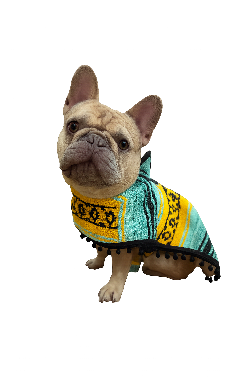Size 3WN (Frenchie) Poncho