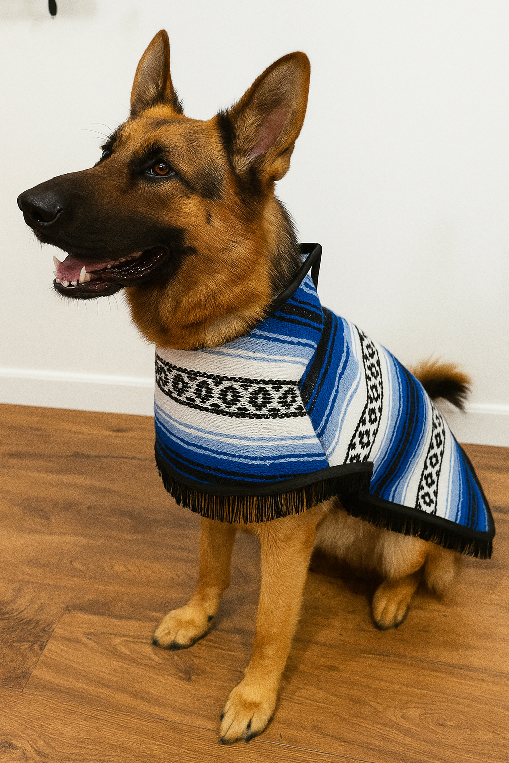 🇲🇽 Dog Poncho – Traditional Mexican Zarape Style