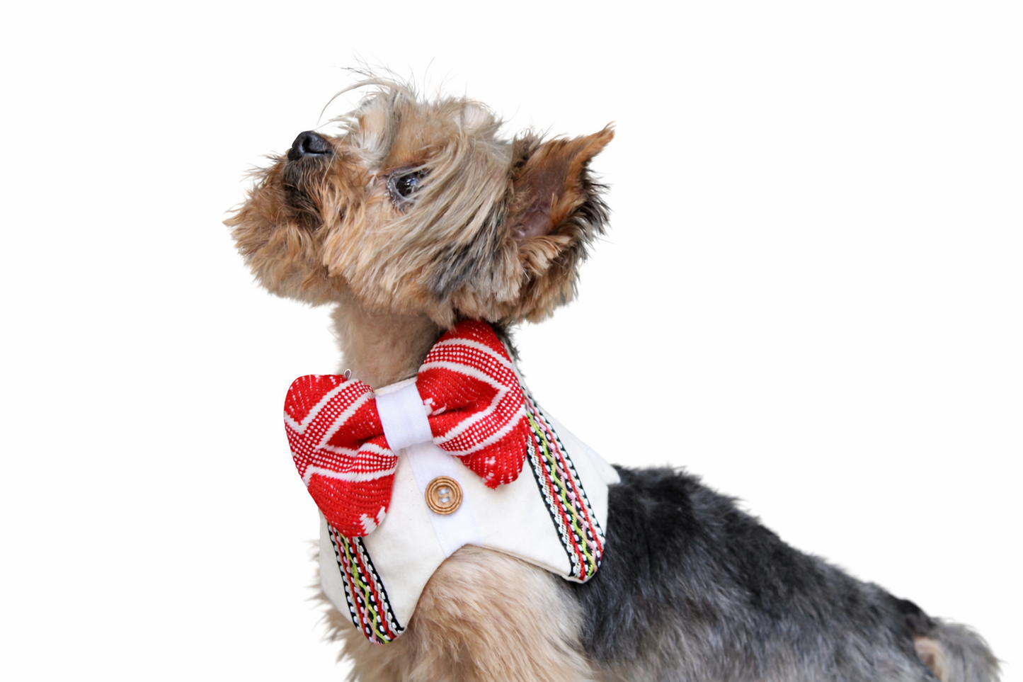 Small Guayaberas 20"