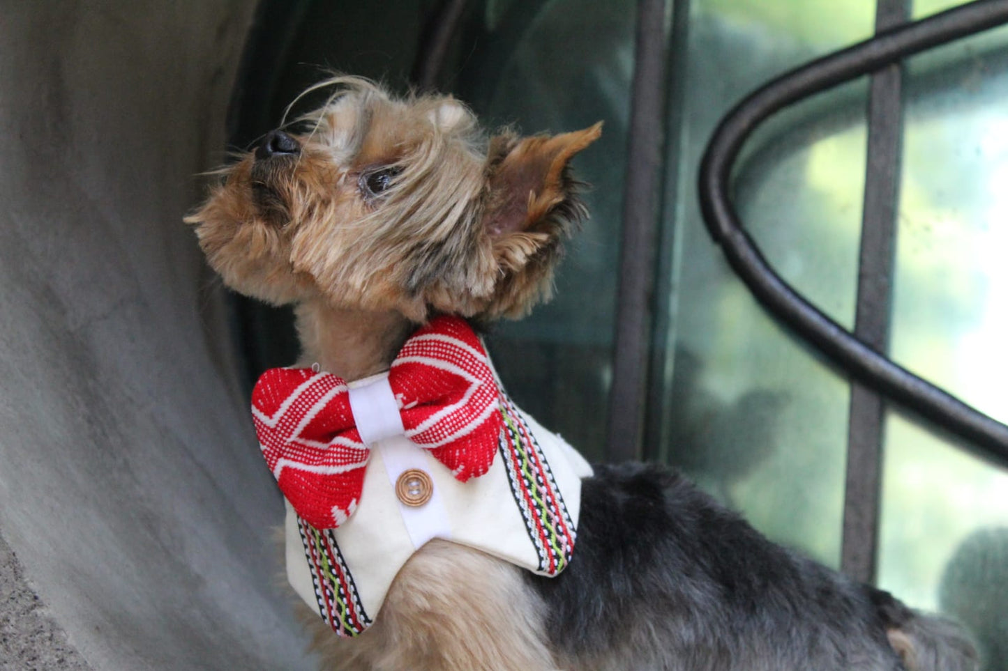 Medium Guayabera 21"